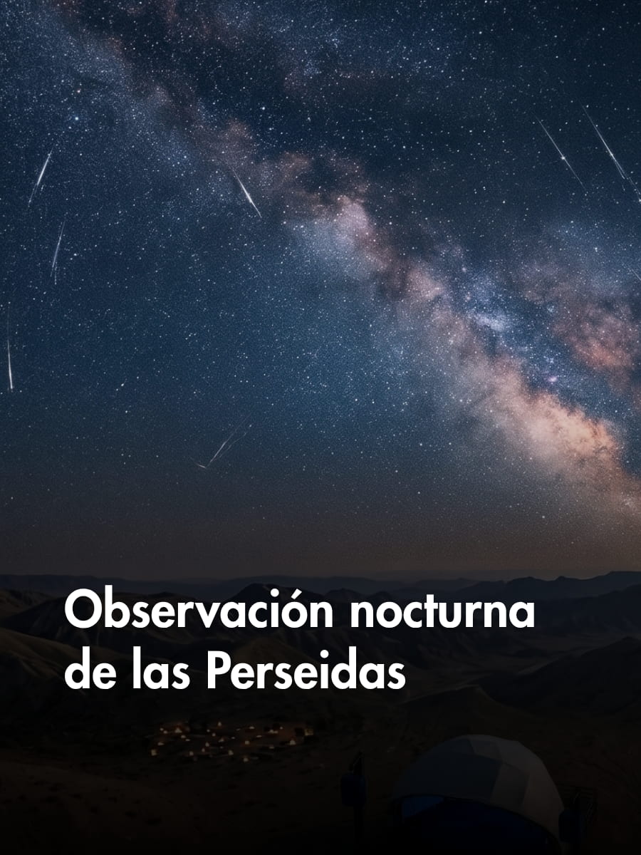 Observación nocturna de las perseidas