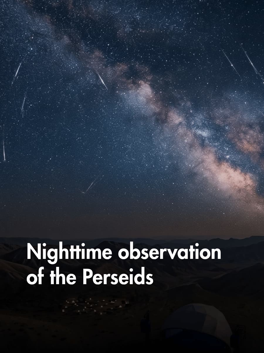 Observación nocturna de las perseidas